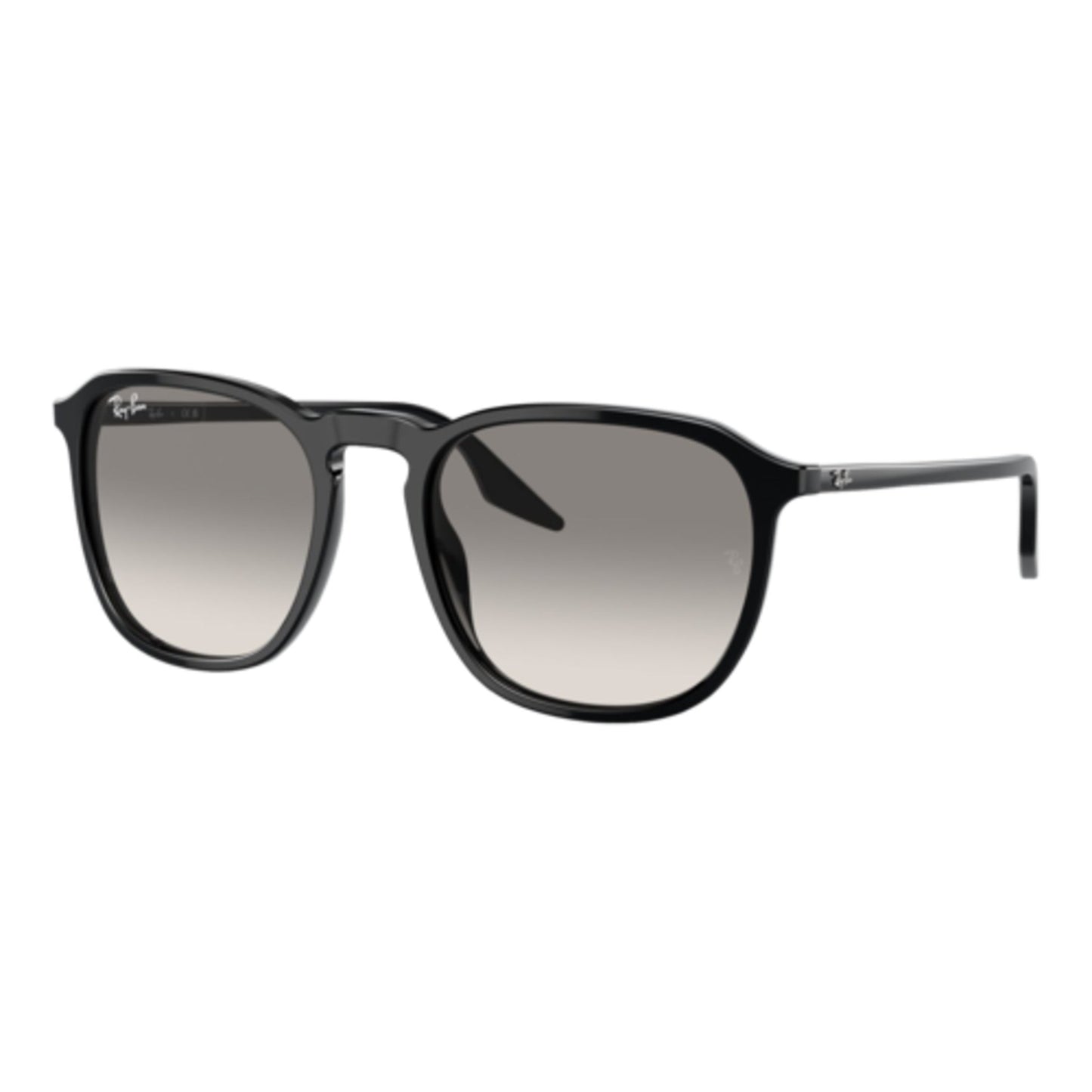 RAY-BAN RB2203 SUNGLASSES