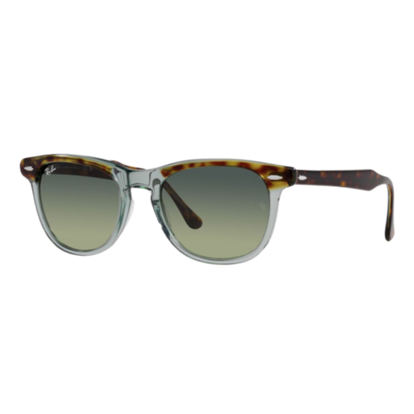 RAY-BAN EAGLE EYE SUNGLASSES