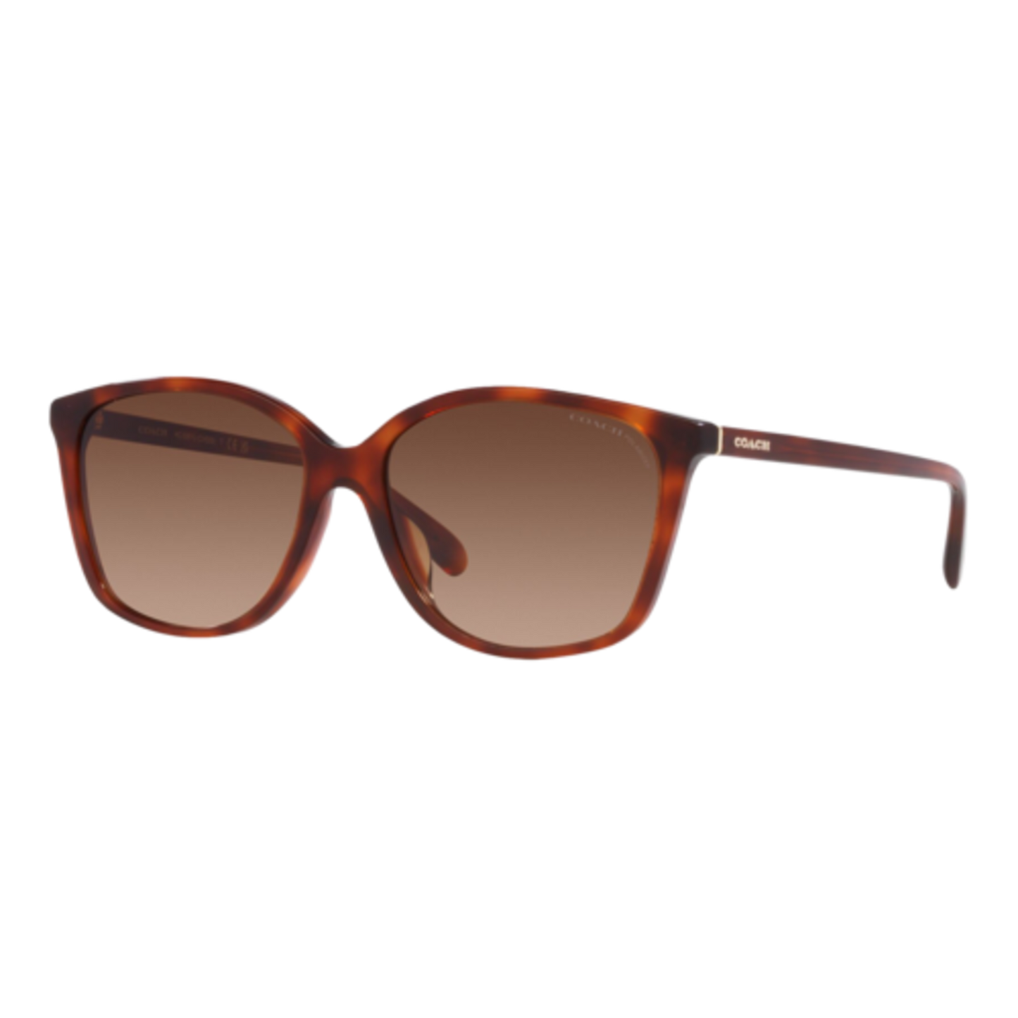 COACH WOMEN'S POLARIZED CH558 SUNGLASSES