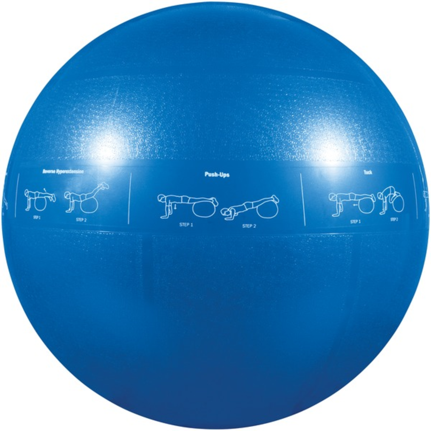 55CM PRO STABILITY BALL
