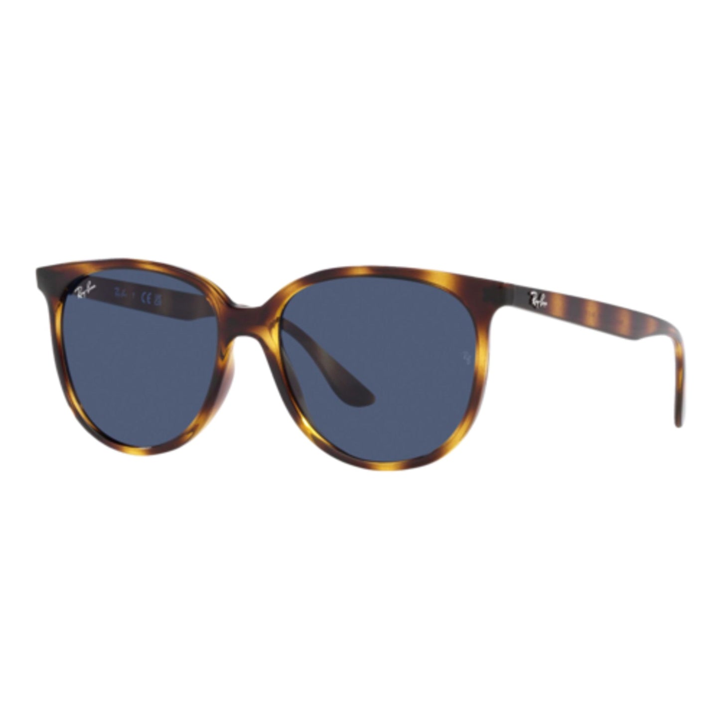 RAY-BAN RB4378 SUNGLASSES