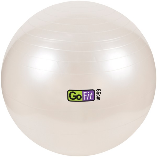 65CM EXERCISE BALL WITH
