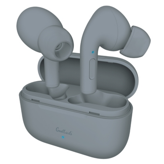 TRUE WIRELESS EARBUDS WITH CHARGING CASE, GREY