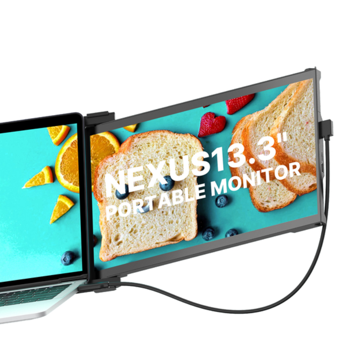 13IN NEXUS IPS MONITOR
