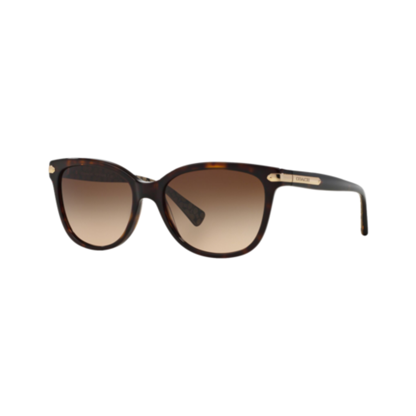 COACH WOMEN'S HC8132 SUNGLASSES