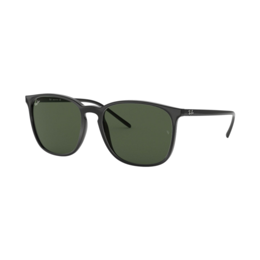 RAY-BAN RB4387 SUNGLASSES