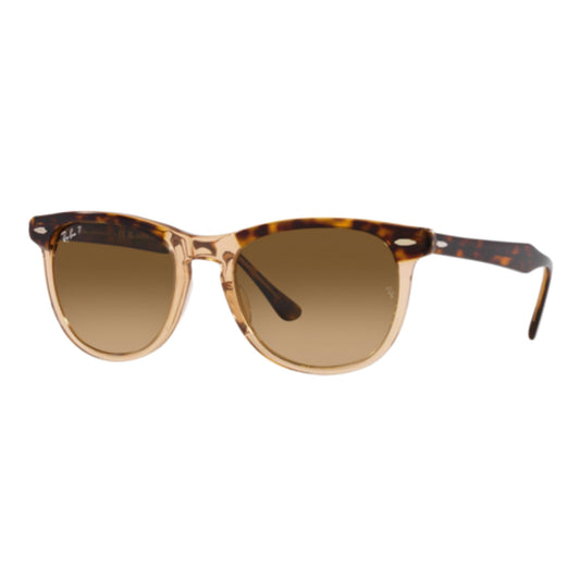 RAY-BAN POLARIZED EAGLE EYE SUNGLASSES