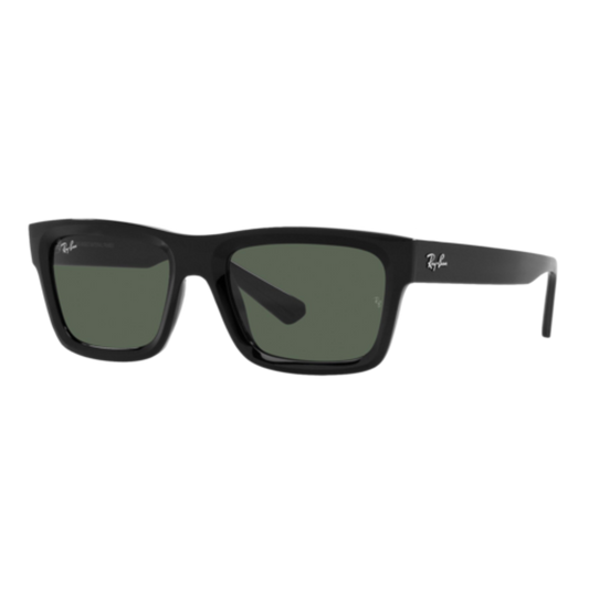 RAY-BAN WARREN BIO-BASED SUNGLASSES