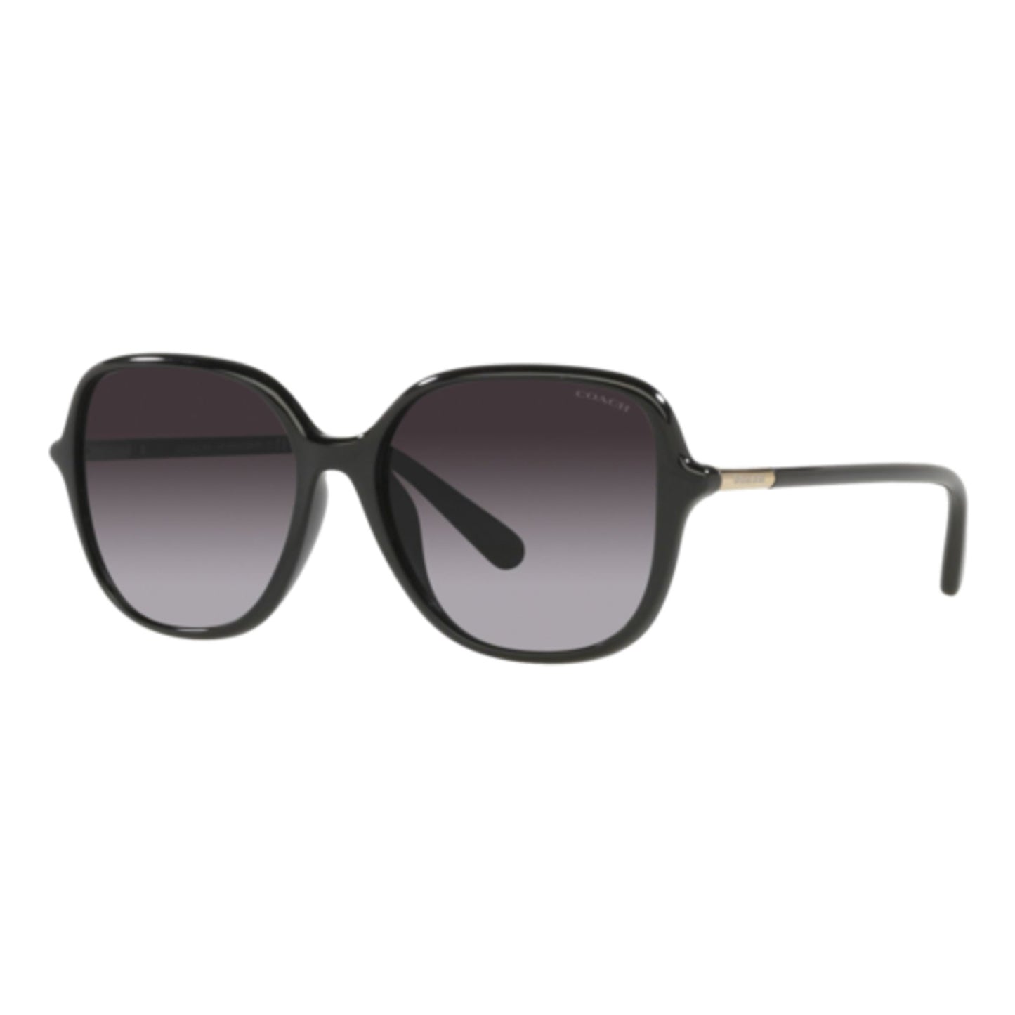 COACH WOMEN'S HC8344U SUNGLASSES
