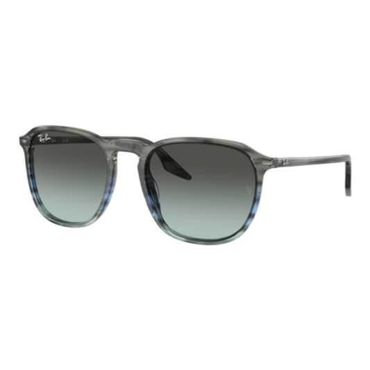RAY-BAN RB2203 SUNGLASSES