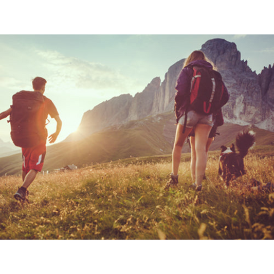 STANDARD GET-AWAY CERTIFICATE