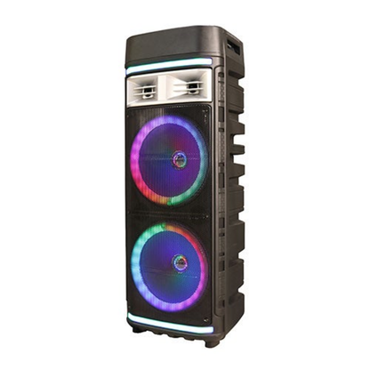 PORTABLE 2 X 12" BLUETOOTH DJ SPEAKER
