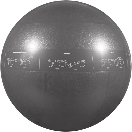 75CM PRO STABILITY BALL
