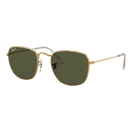 RAY-BAN POLARIZED FRANK SUNGLASSES