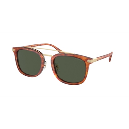 MENS ROUND NON POLARIZED SUNGLASSES, TORTOISE/GREEN, 53