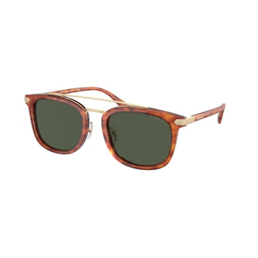 MENS ROUND NON POLARIZED SUNGLASSES, TORTOISE/GREEN, 53