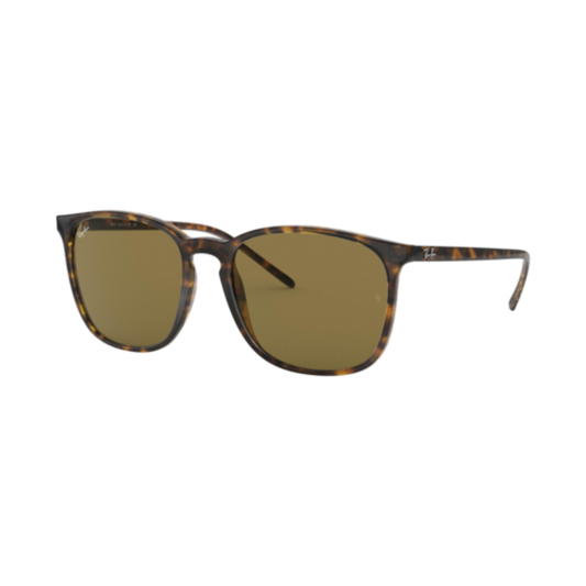 RAY-BAN RB4387 SUNGLASSES