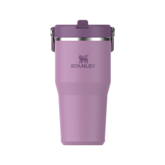 STANLEY THE ICEFLOW FLIP STRAW TUMBLER 20OZ