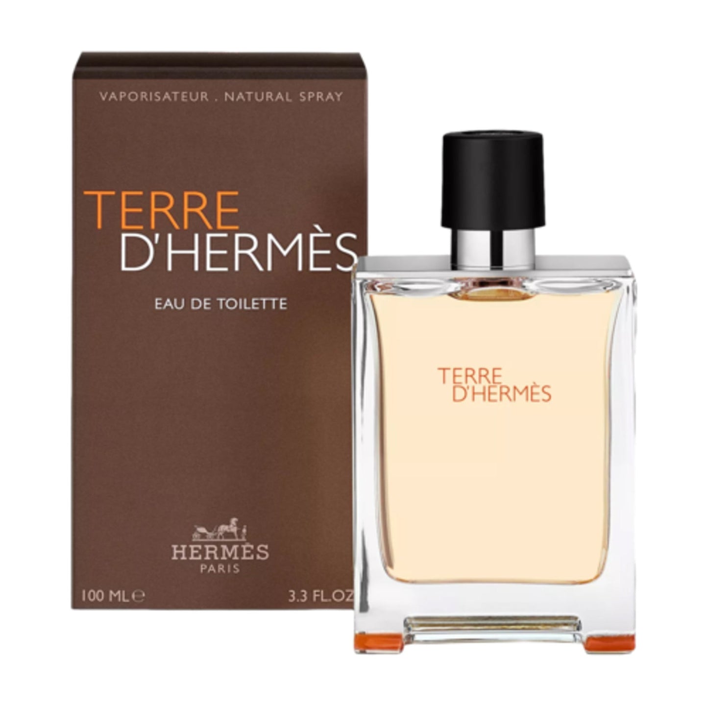 HERMES TERRE D'HERMES FOR MEN EDT SPRAY - 3.3 FL OZ